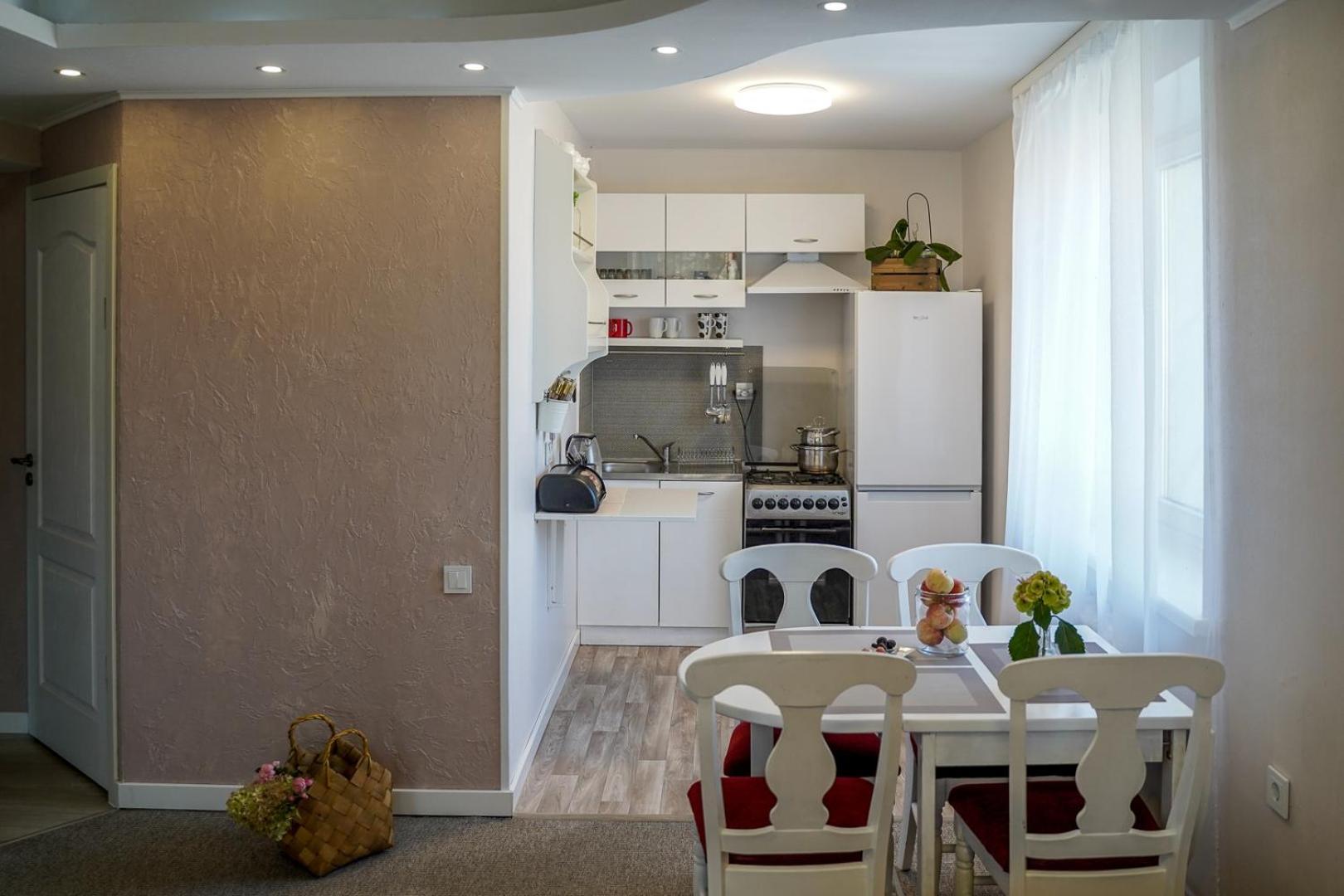 Apartamentai Birstono Centre Su Zidiniu Birštonas 외부 사진
